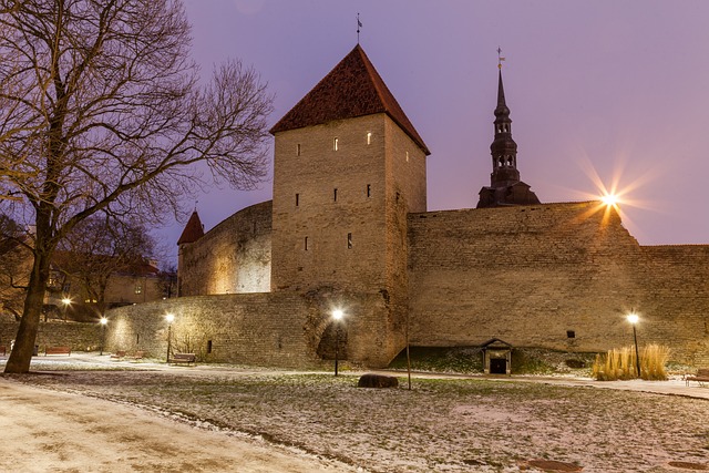 Toompea Castle